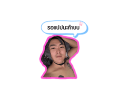 499406286