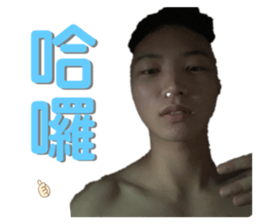 499408988