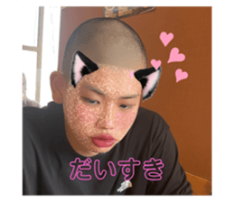 499417605