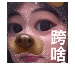 499418002