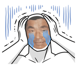 499428845