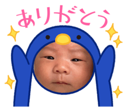 499440587