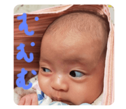 499443764