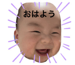 499448142