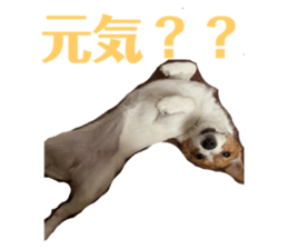 499458755