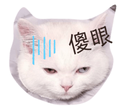 499460188