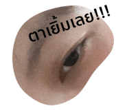 499518564
