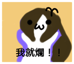 499530120