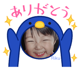 499532279