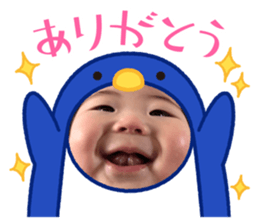 499536158