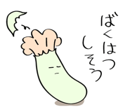 499545081