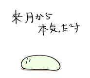 499545099