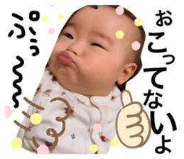 499583576