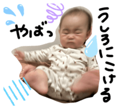 499583586