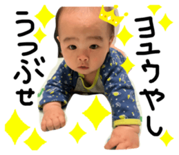 499583587