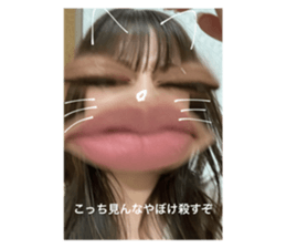 499603807