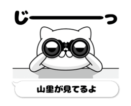 49962675