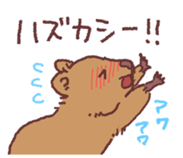 4996528