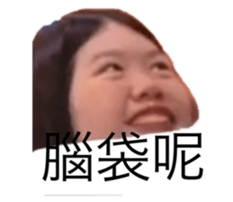 499670595
