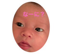 499678392