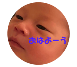 499678393