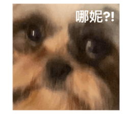 499691319