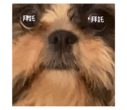 499691320