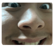 499694978