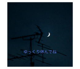499702626