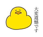 499746772