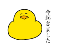 499746775