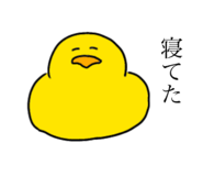 499746780