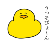 499746804