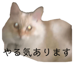 499747968