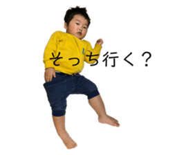 499767035