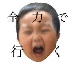 499767036