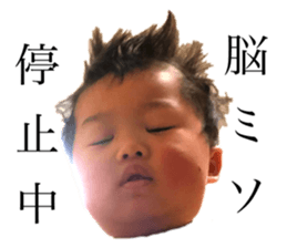 499767051