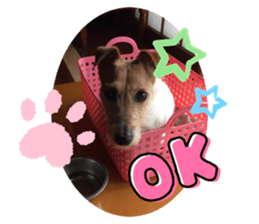 499782093