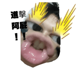 499785694