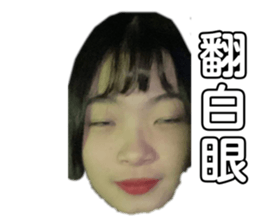 499941092