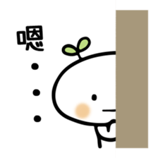 499943399