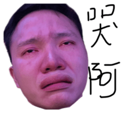 499950875
