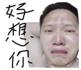499950878
