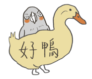 499962896