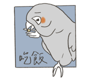 499962899