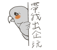 499962907
