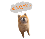 499966564