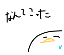 500213426