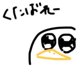 500213429