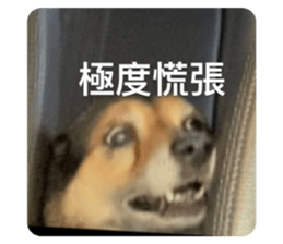 500216472
